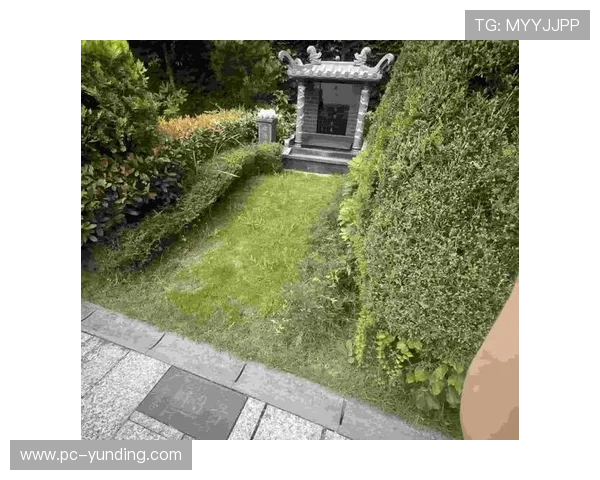 瓦力棋牌游戏安全保障措施详解，保障玩家账号信息安全无忧